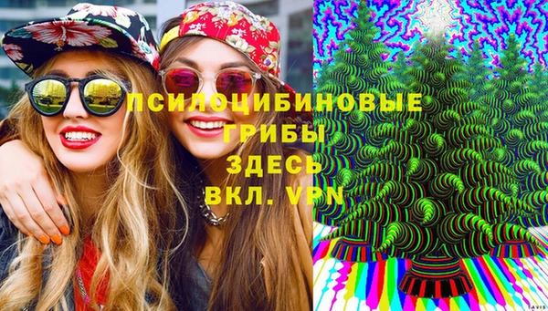ПСИЛОЦИБИНОВЫЕ ГРИБЫ Балабаново