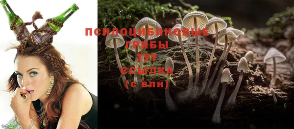 дживик Арсеньев