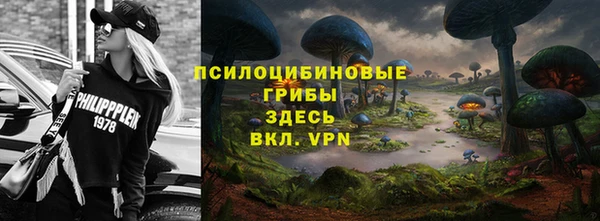 ПСИЛОЦИБИНОВЫЕ ГРИБЫ Балабаново