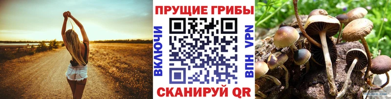 Псилоцибиновые грибы GOLDEN TEACHER  Ряжск 